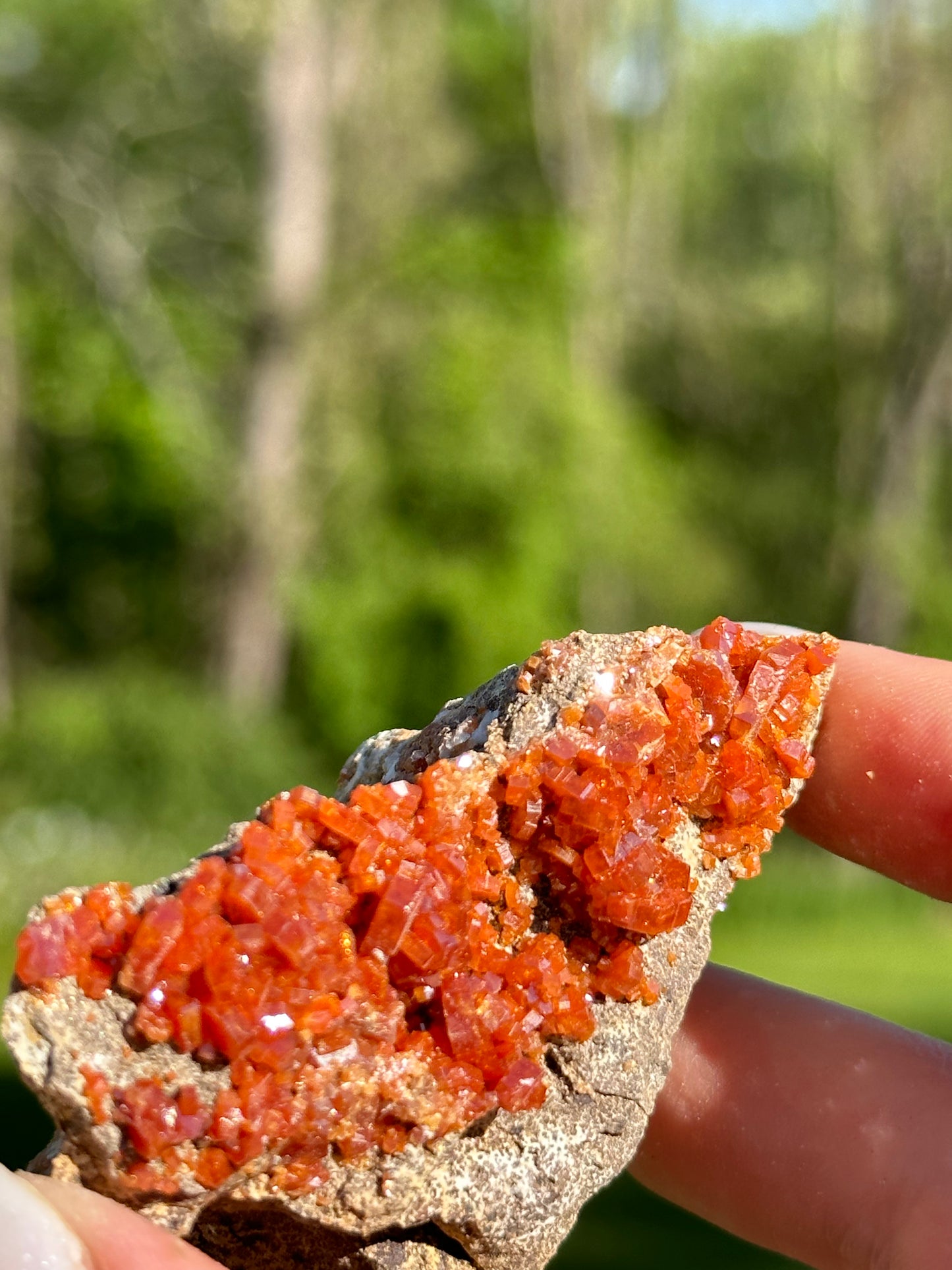 Vanadinite Specimens