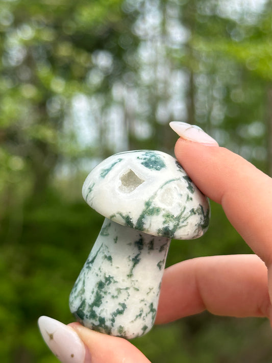 Moss Agate Mushroom