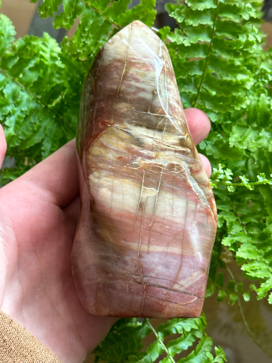 Petrified Wood Flame
