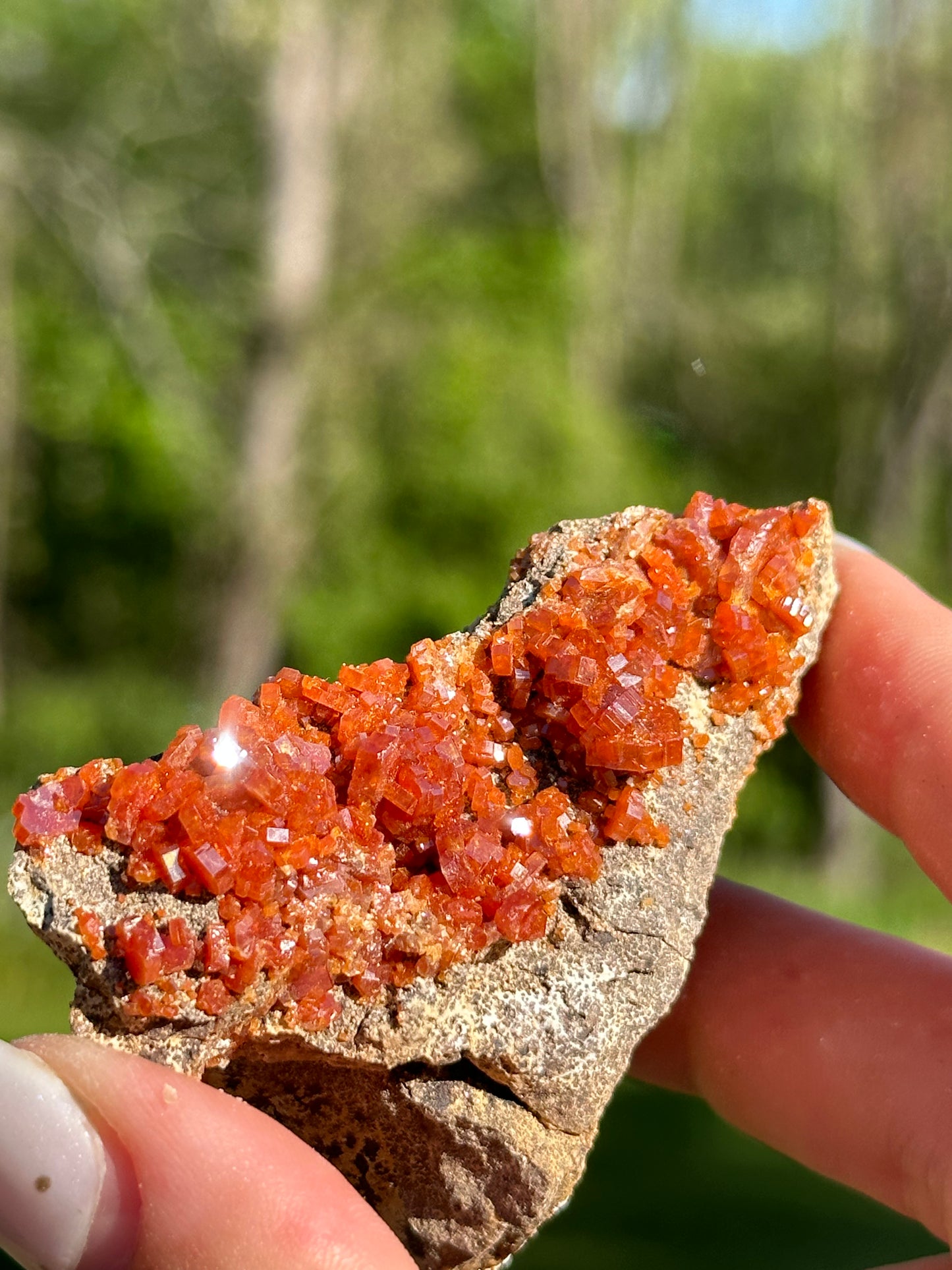 Vanadinite Specimens