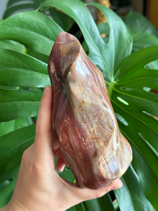 Petrified wood flame