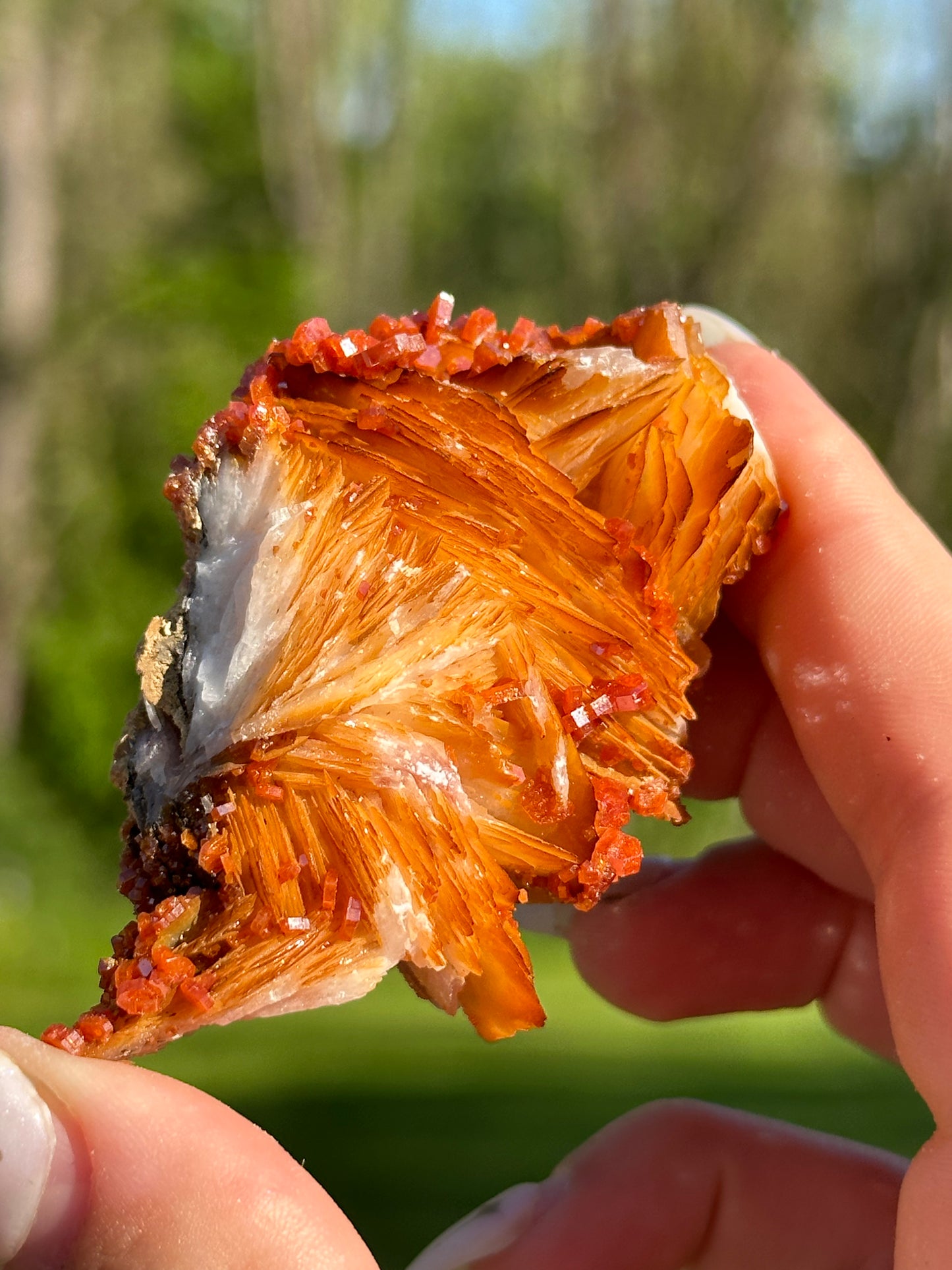 Vanadinite Specimens
