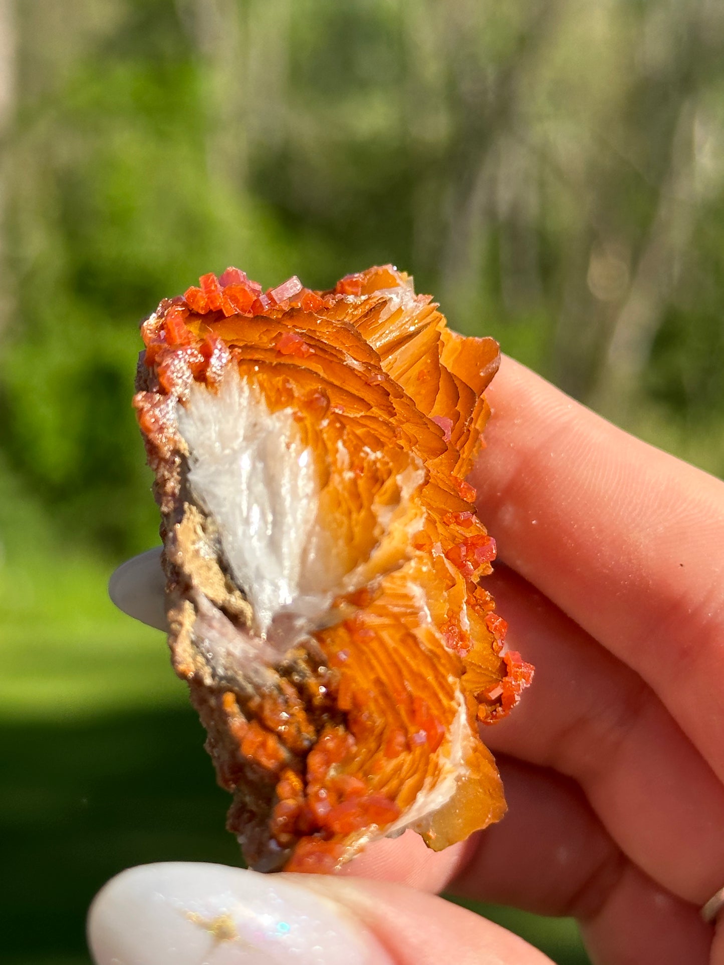 Vanadinite Specimens