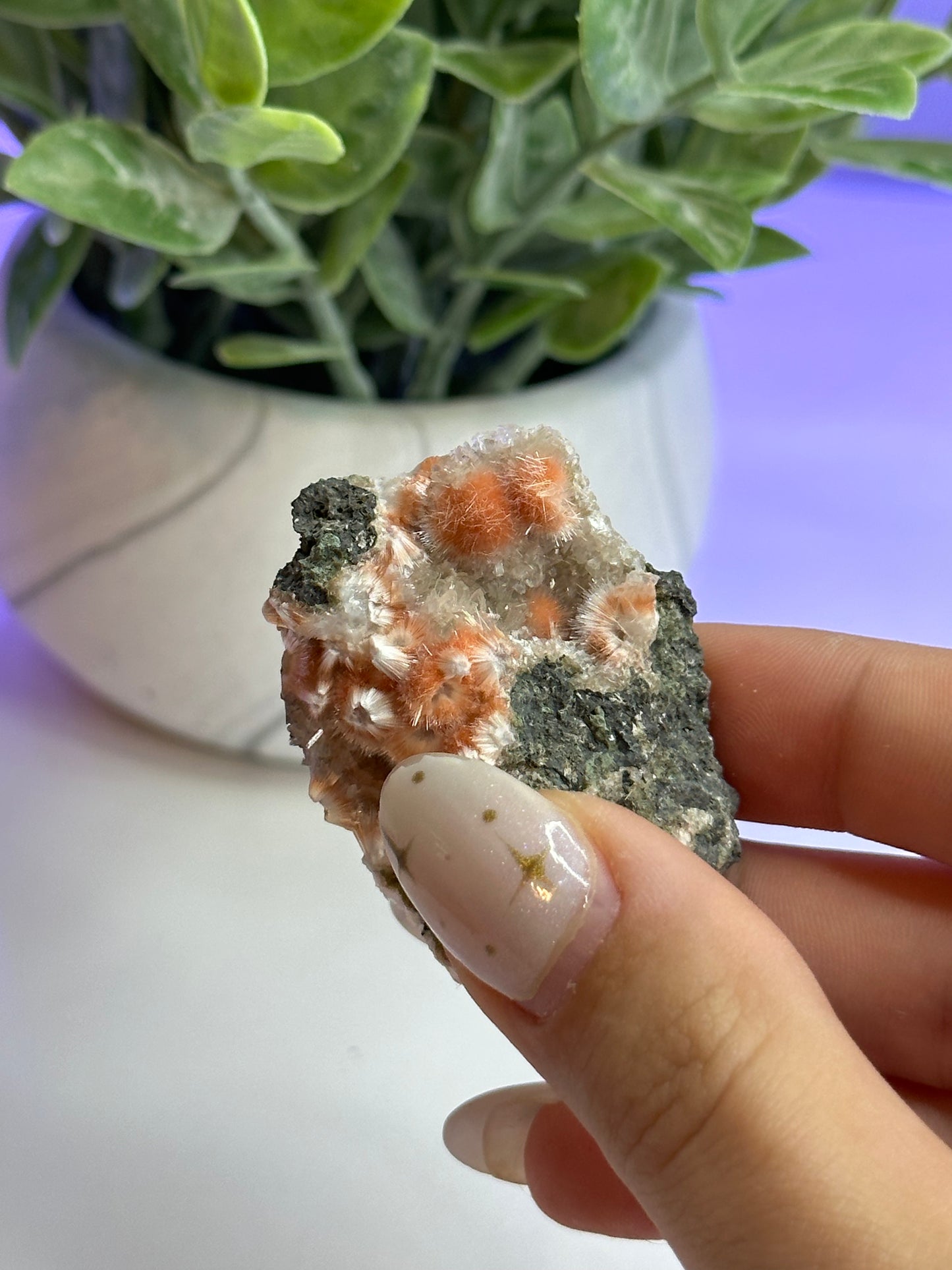 Thomsonite with White Mesolite