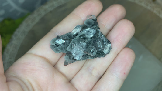 Black chalcedony with gemmy apophyllite -E