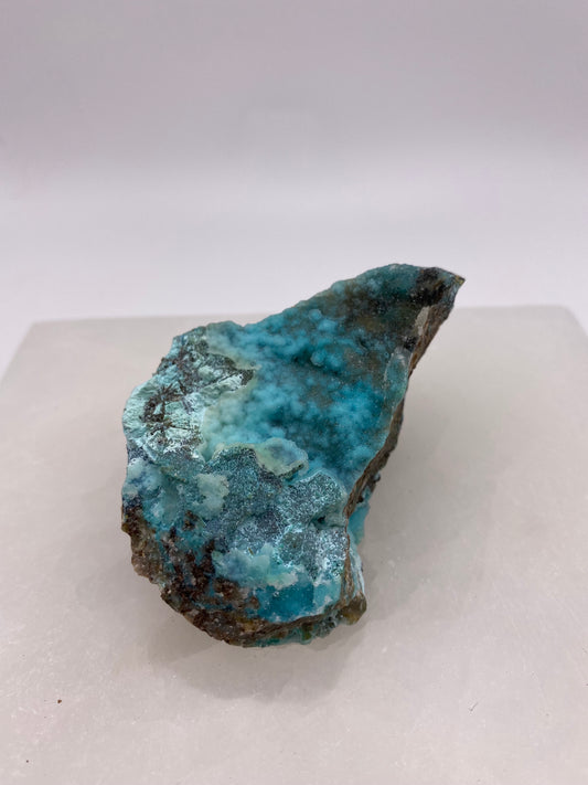 Druzy Chrysocolla- E