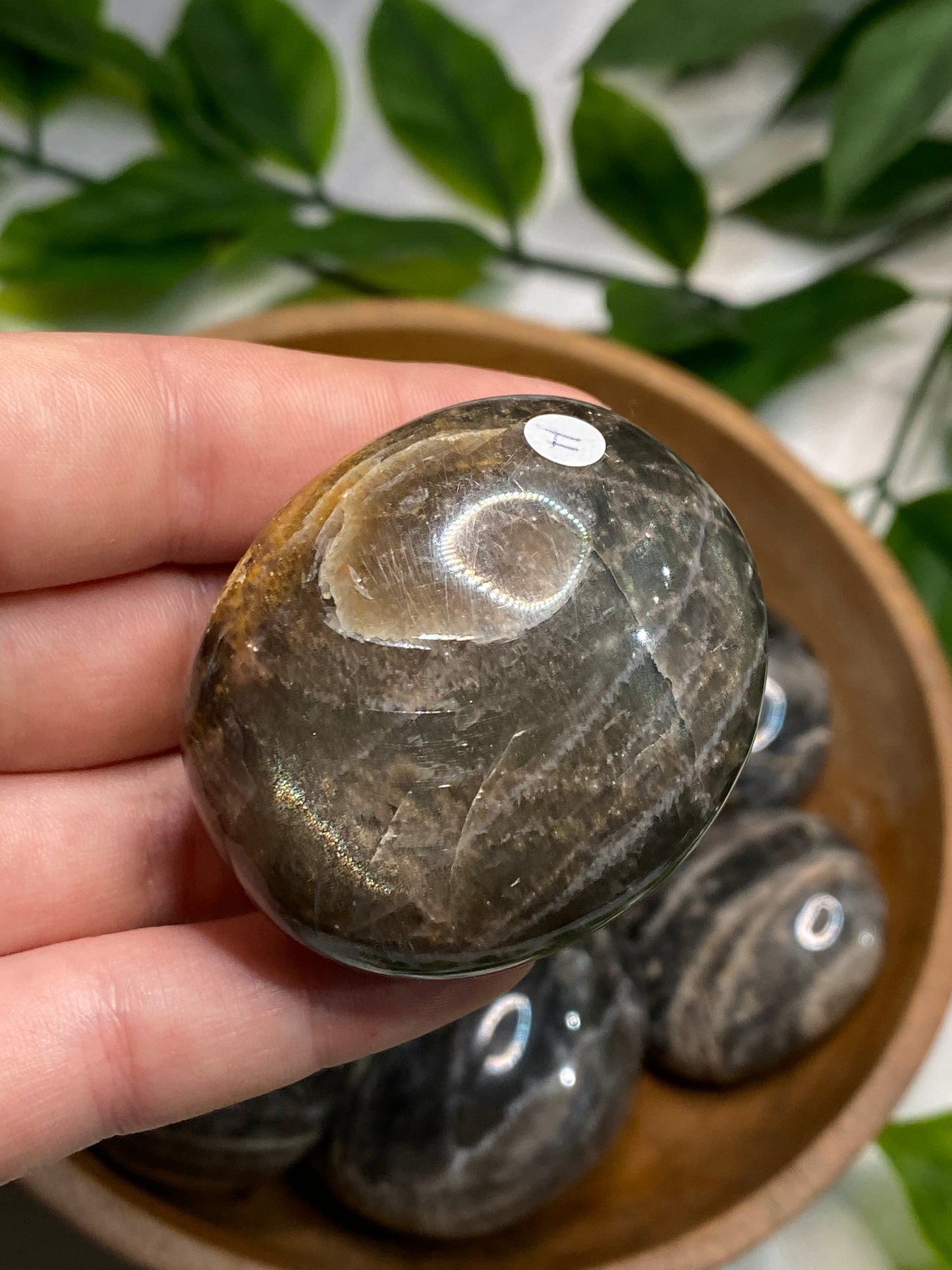 Black Moonstone Palmstones