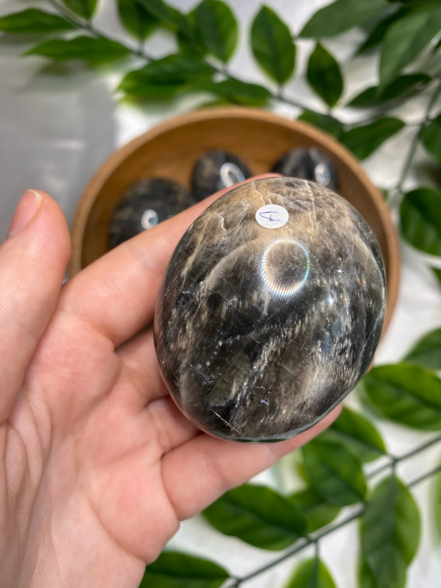 Black Moonstone Palmstones