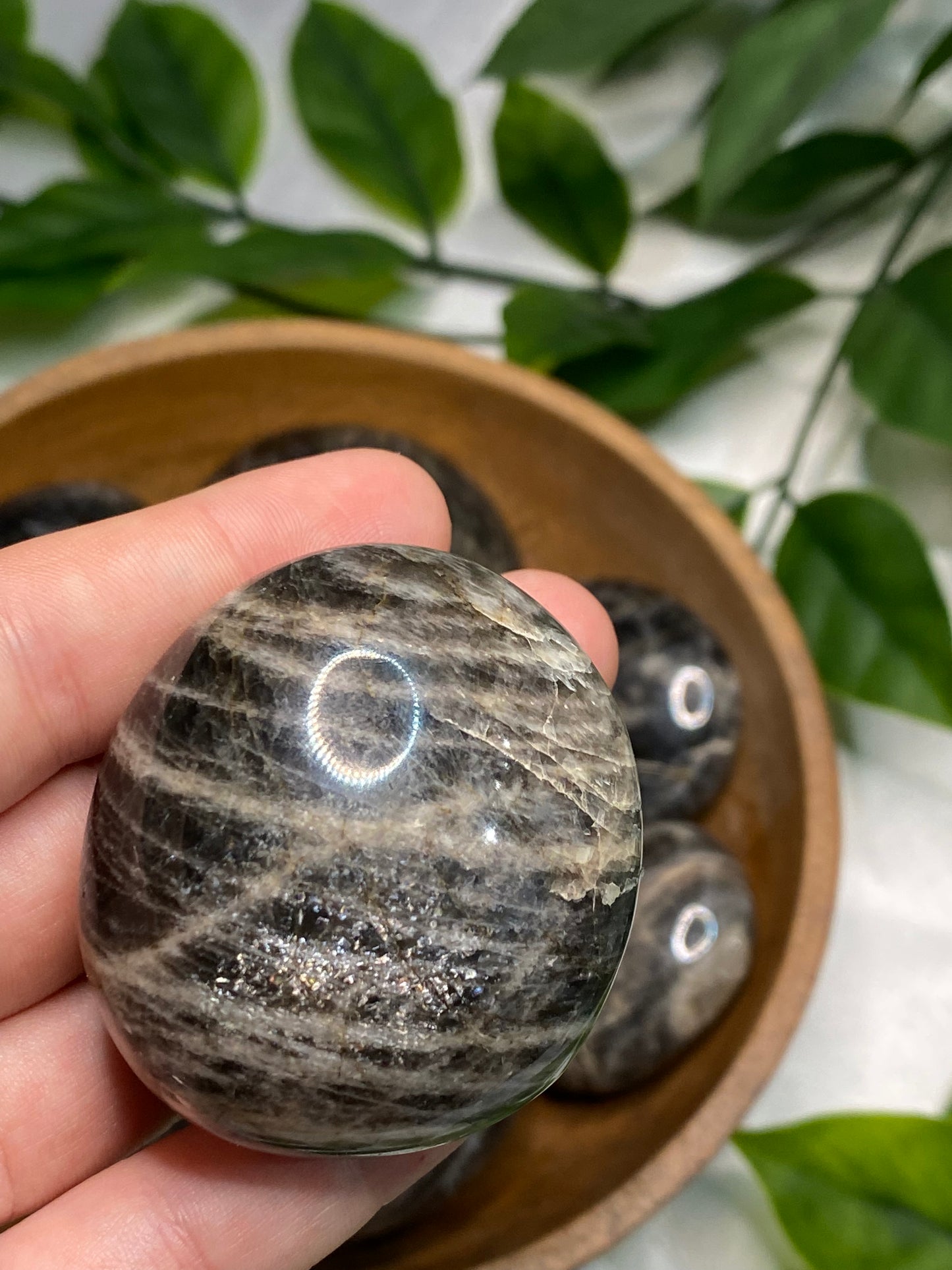 Black Moonstone Palmstones