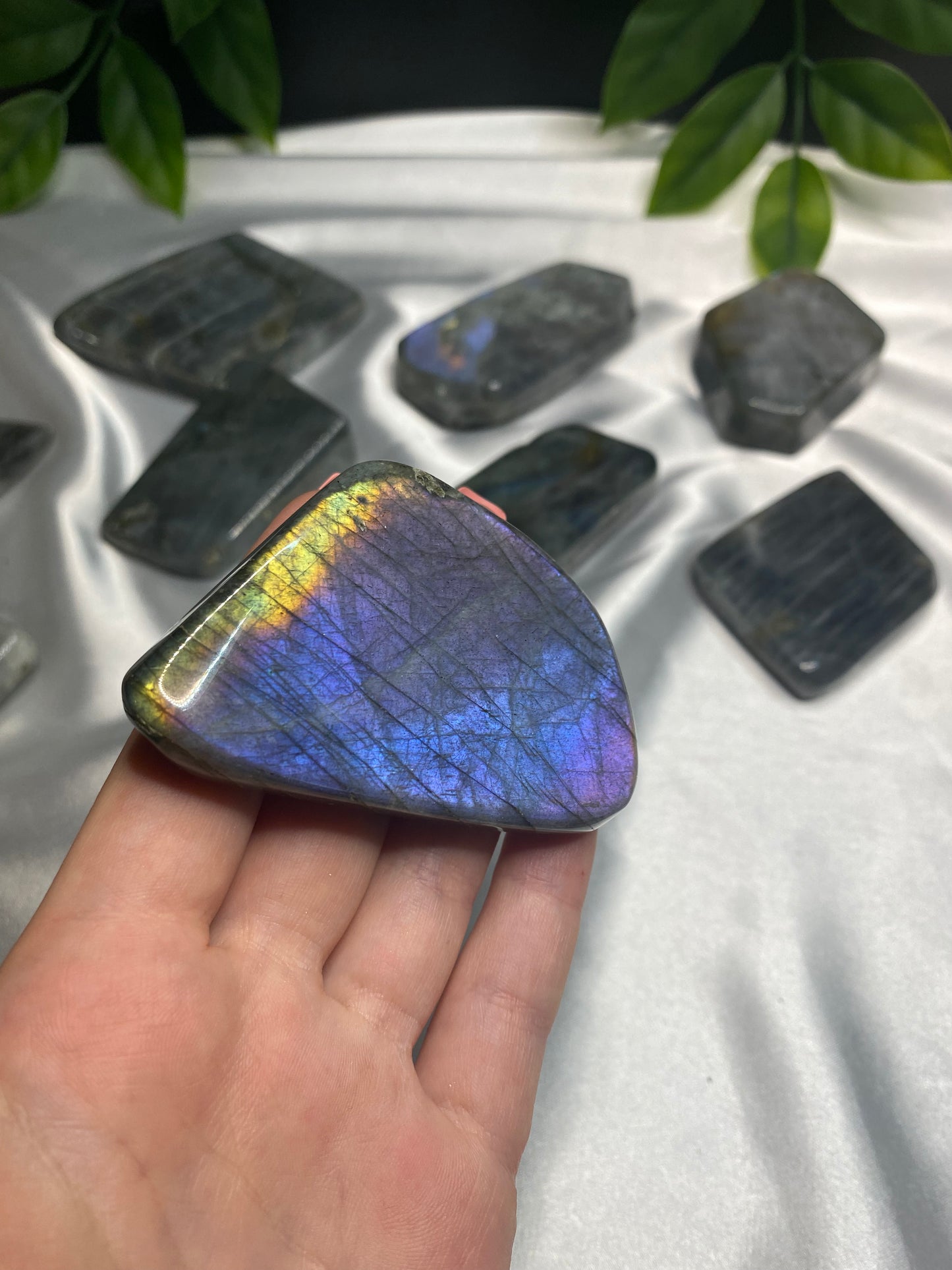 Small Labradorite Freeforms
