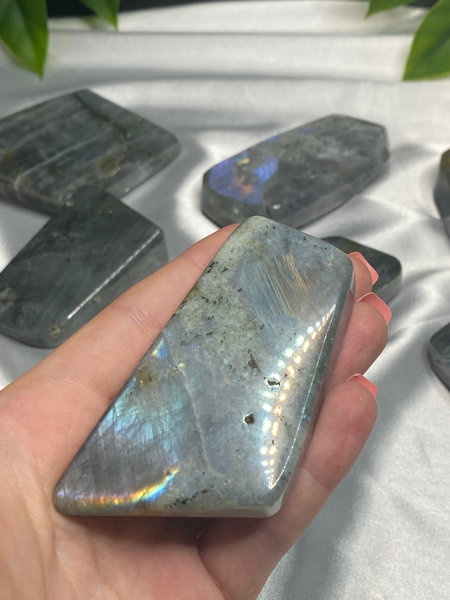 Small Labradorite Freeforms