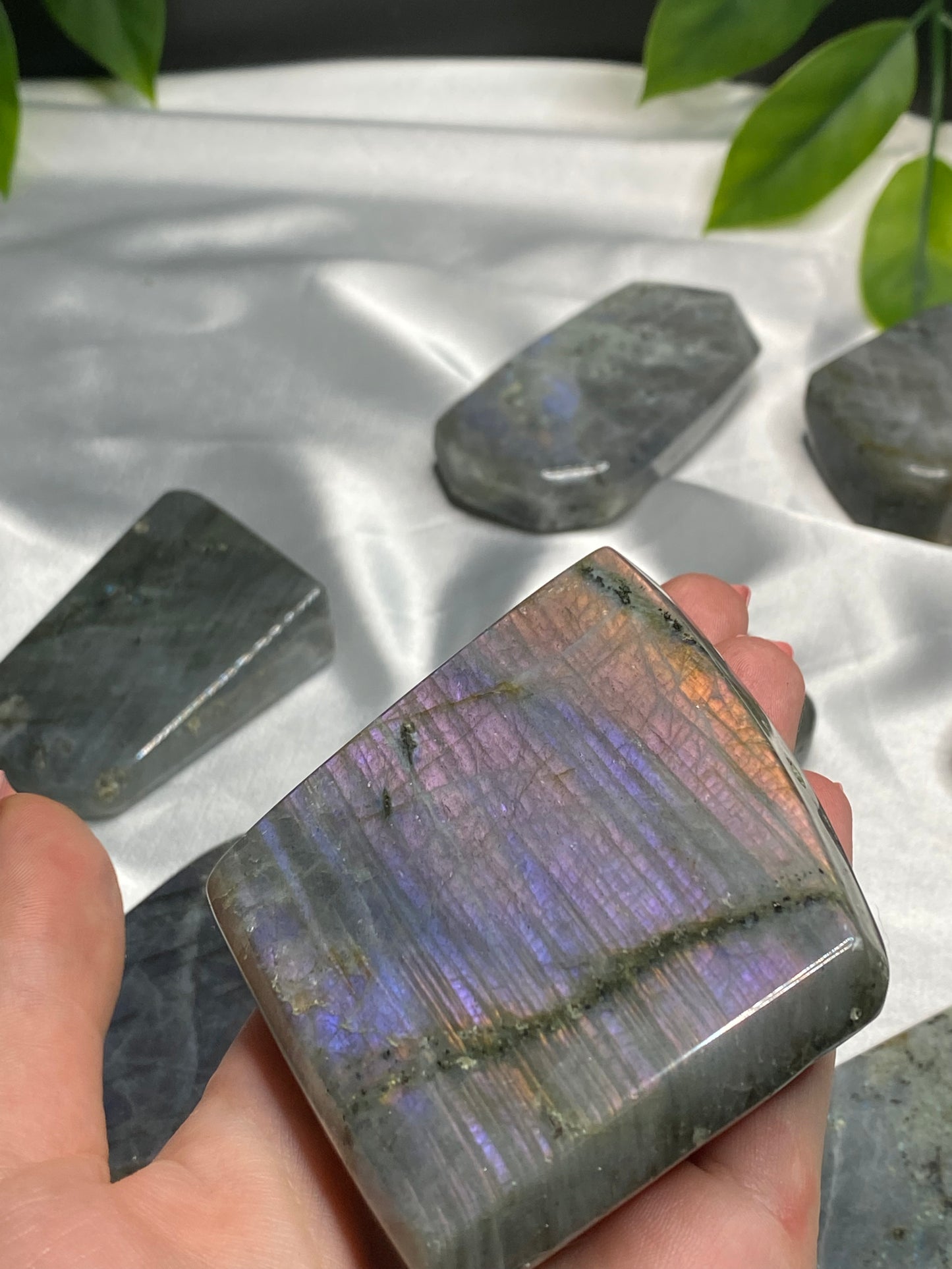 Small Labradorite Freeforms