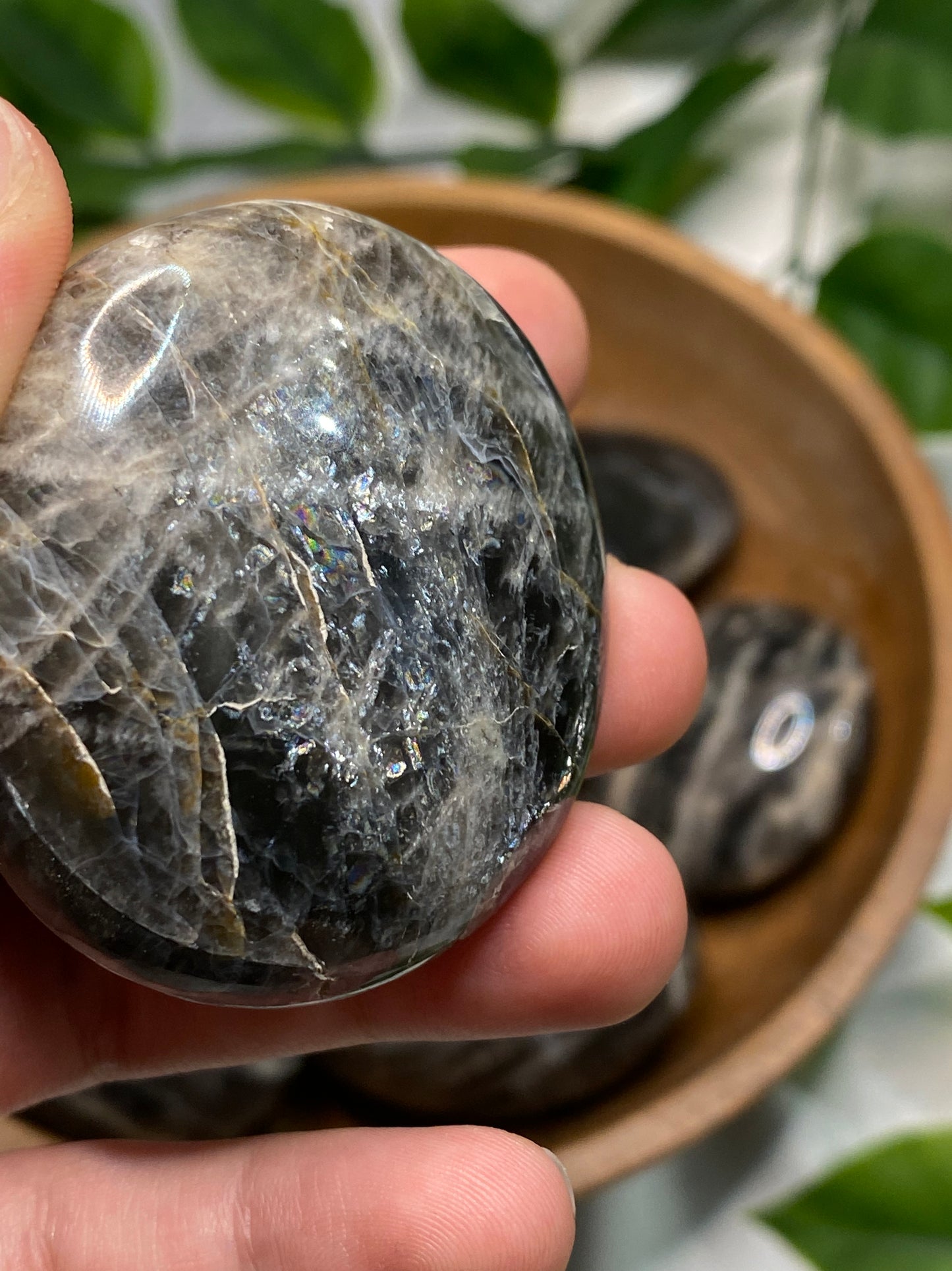 Black Moonstone Palmstones