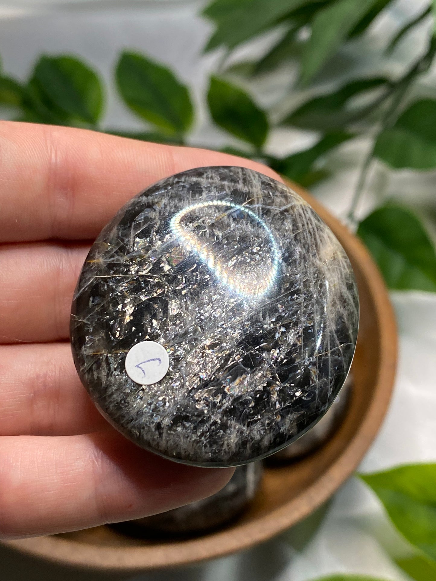 Black Moonstone Palmstones