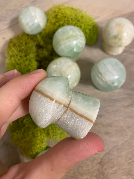 Pistachio Calcite Mushrooms