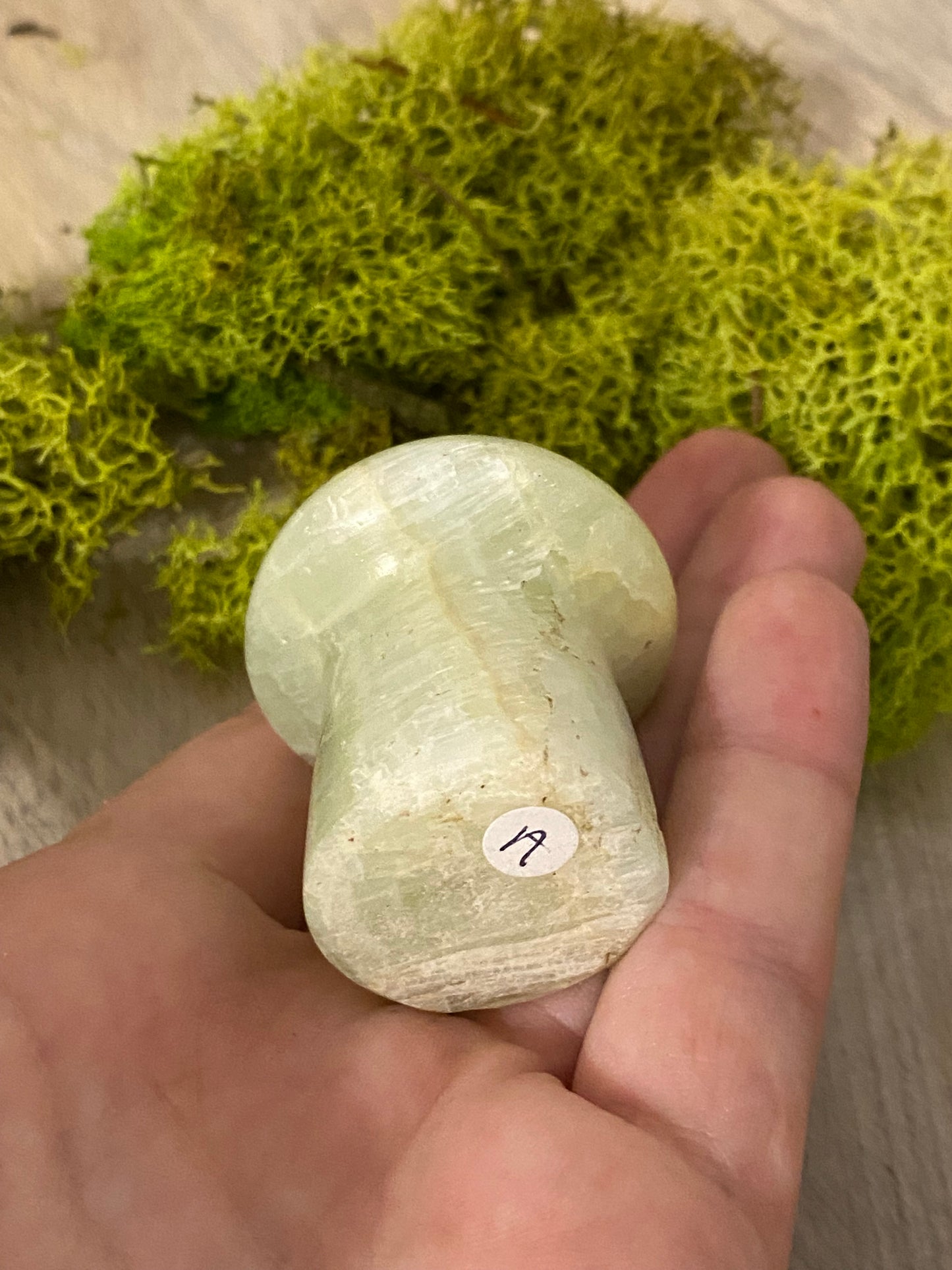 Pistachio Calcite Mushrooms