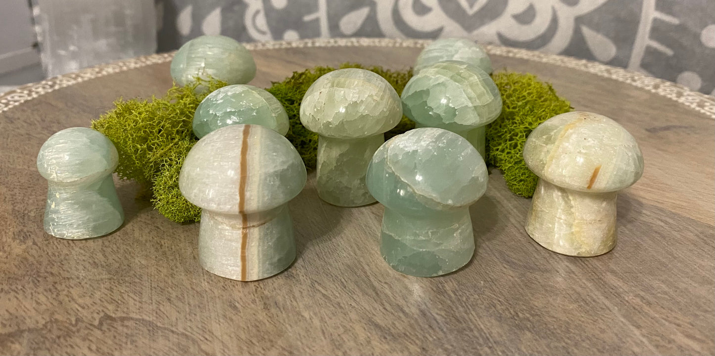 Pistachio Calcite Mushrooms