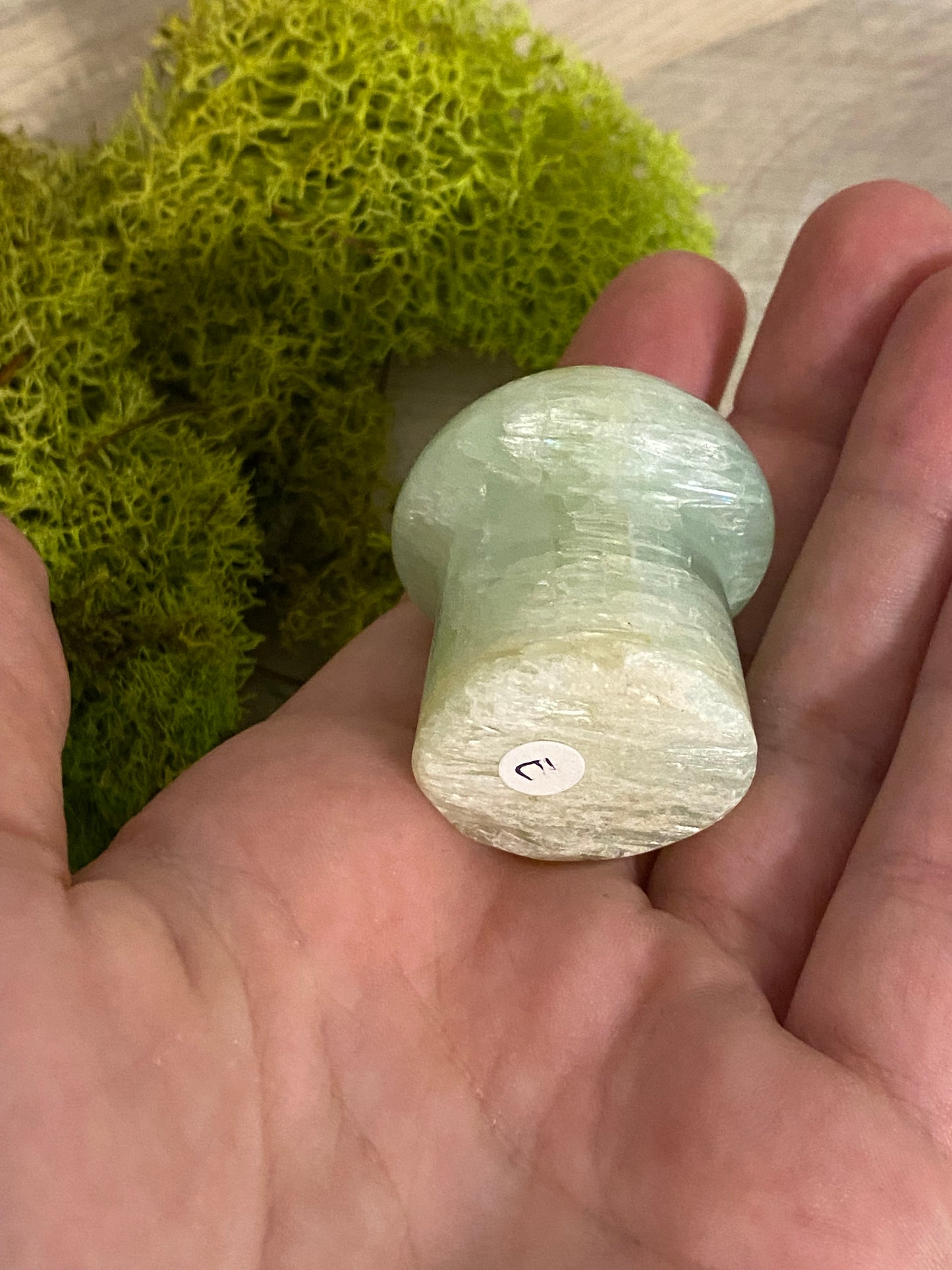 Pistachio Calcite Mushrooms