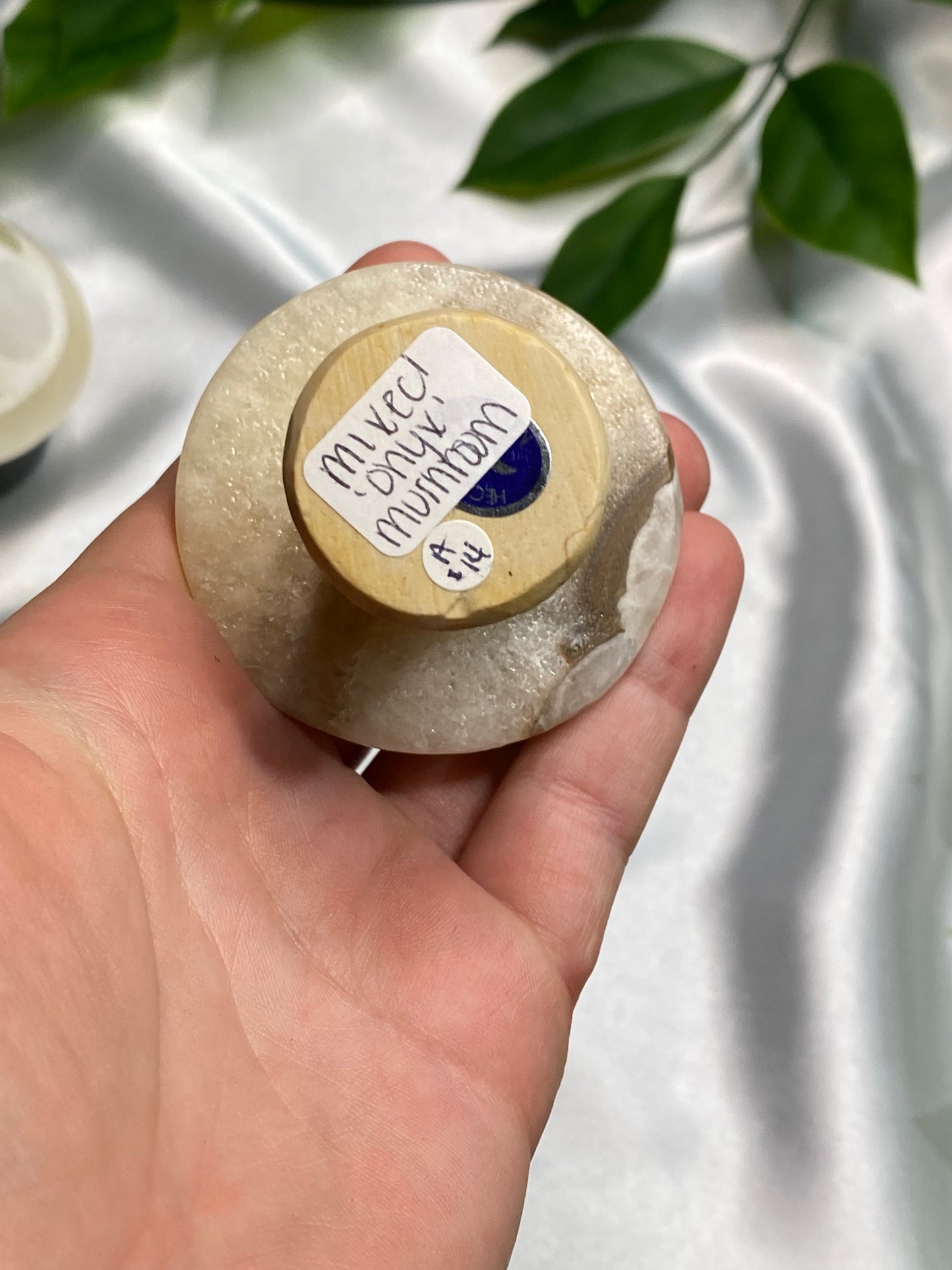 Marble Mixed Mushrooms