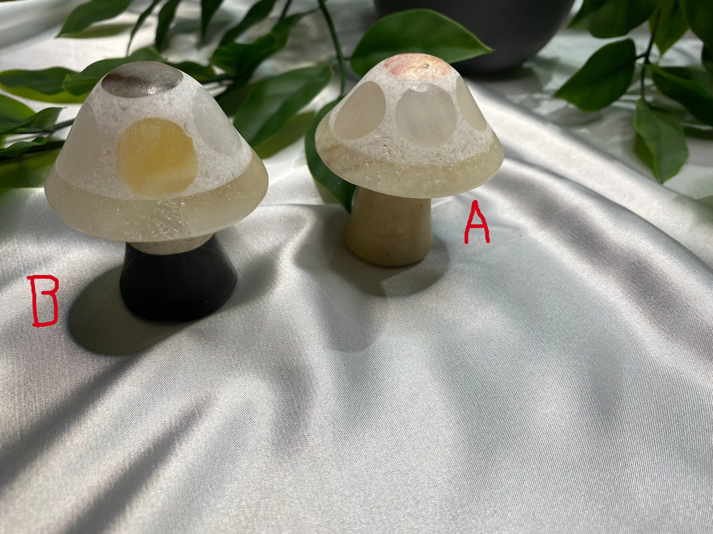 Marble Mixed Mushrooms