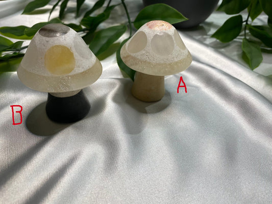 Marble Mixed Mushrooms