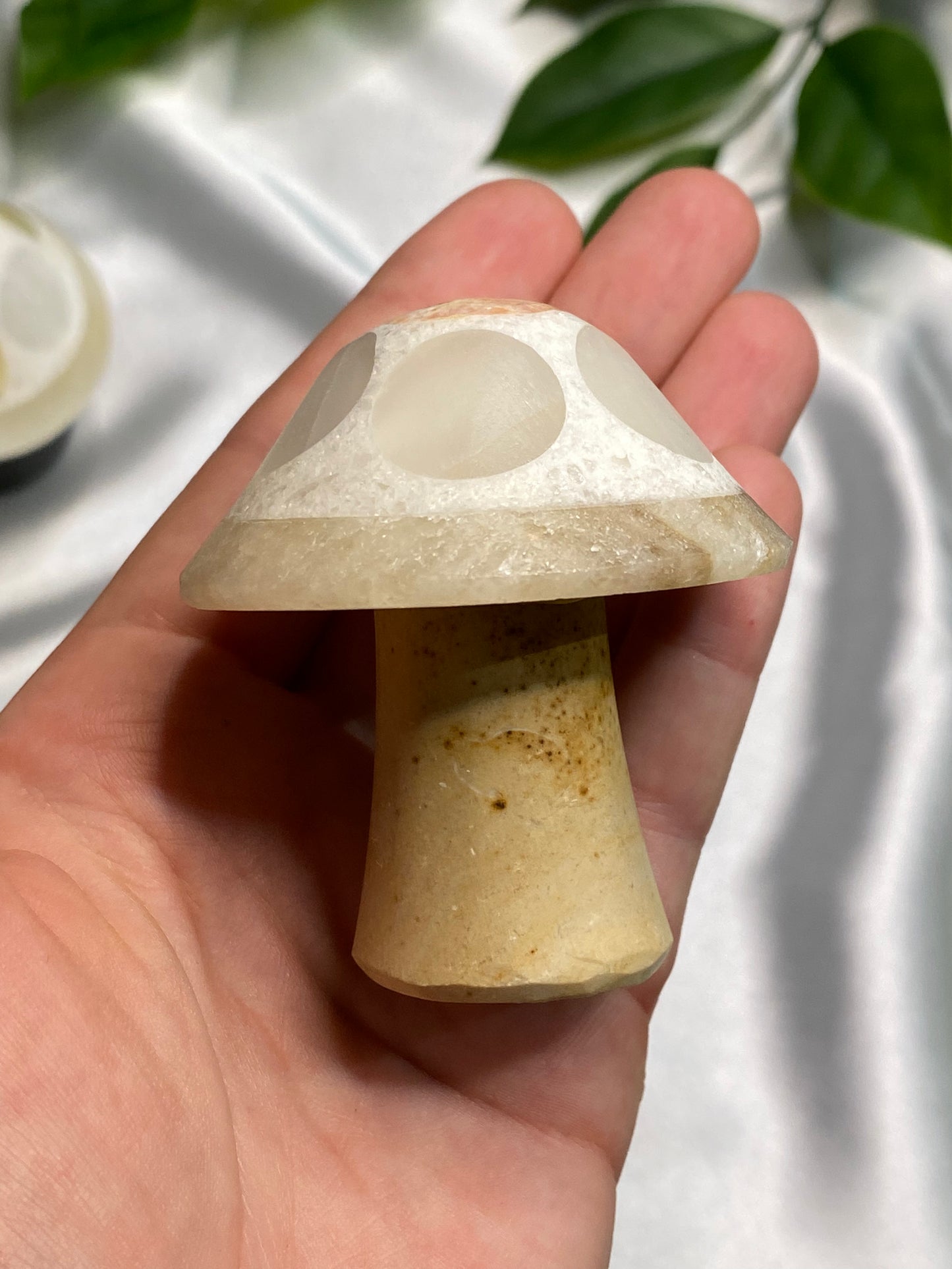 Marble Mixed Mushrooms