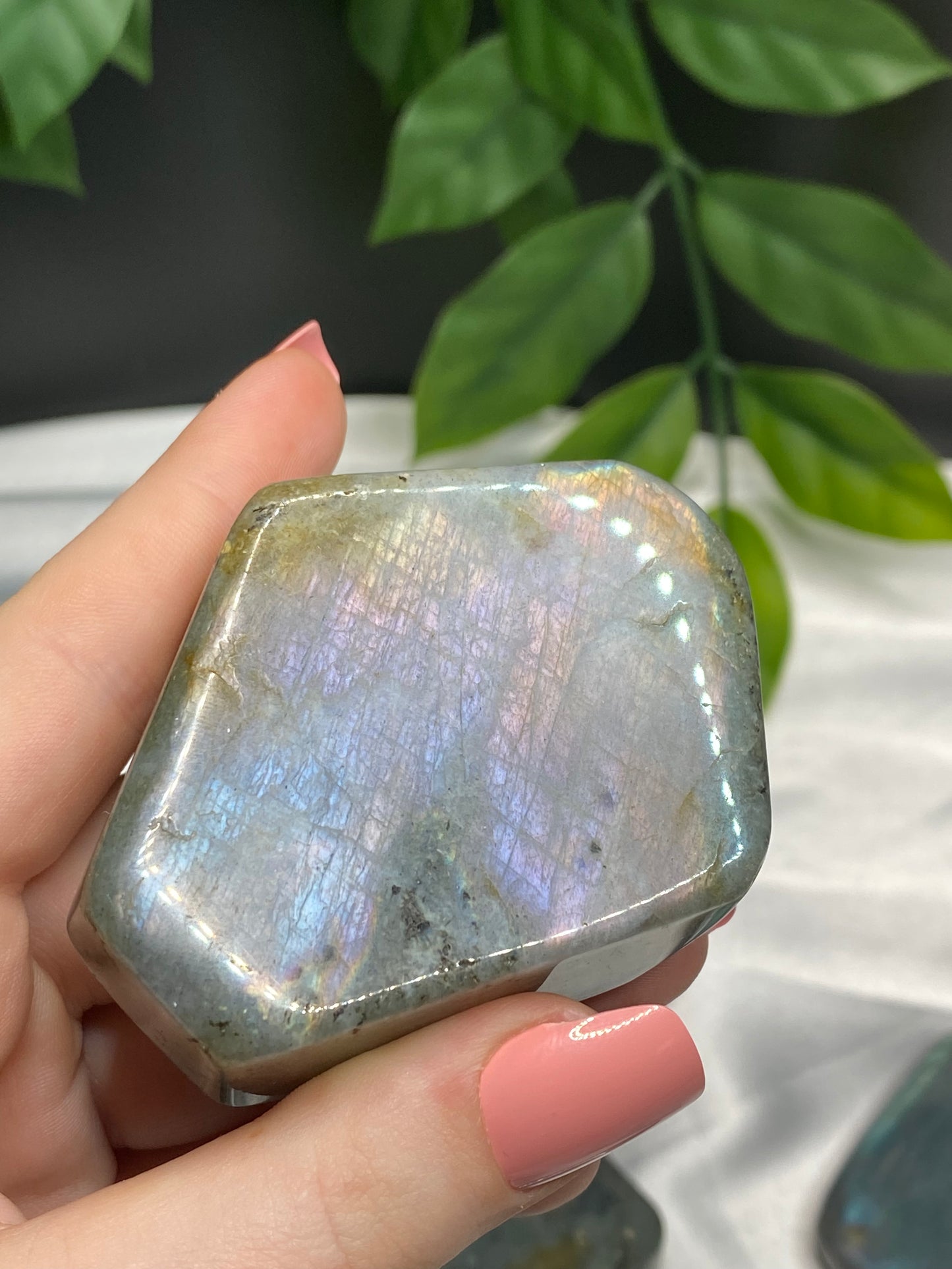 Small Labradorite Freeforms