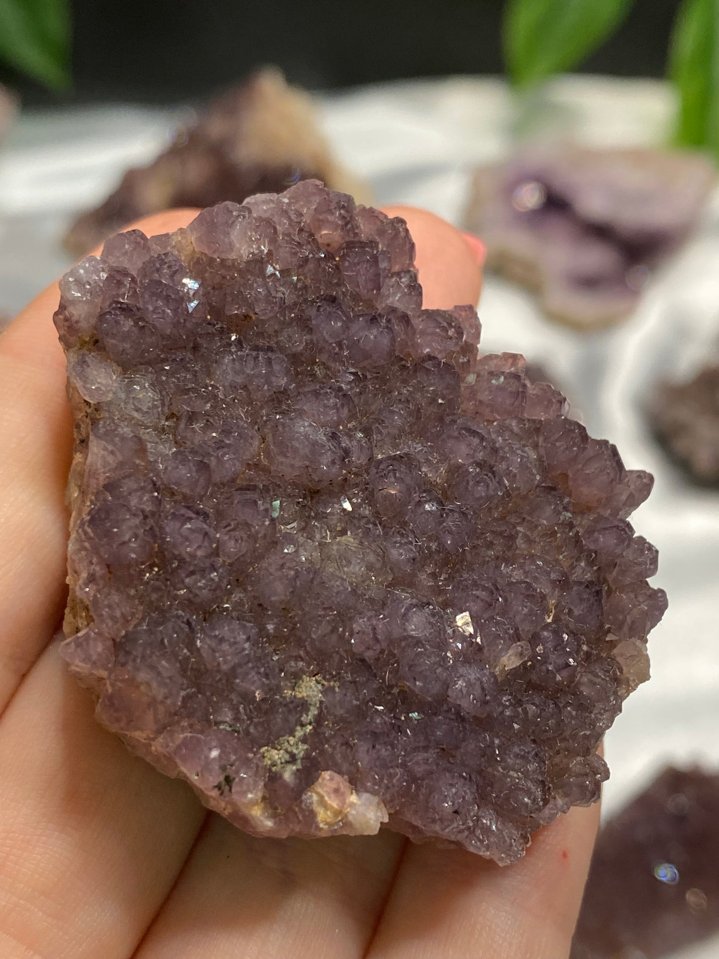 Alacam Amethyst