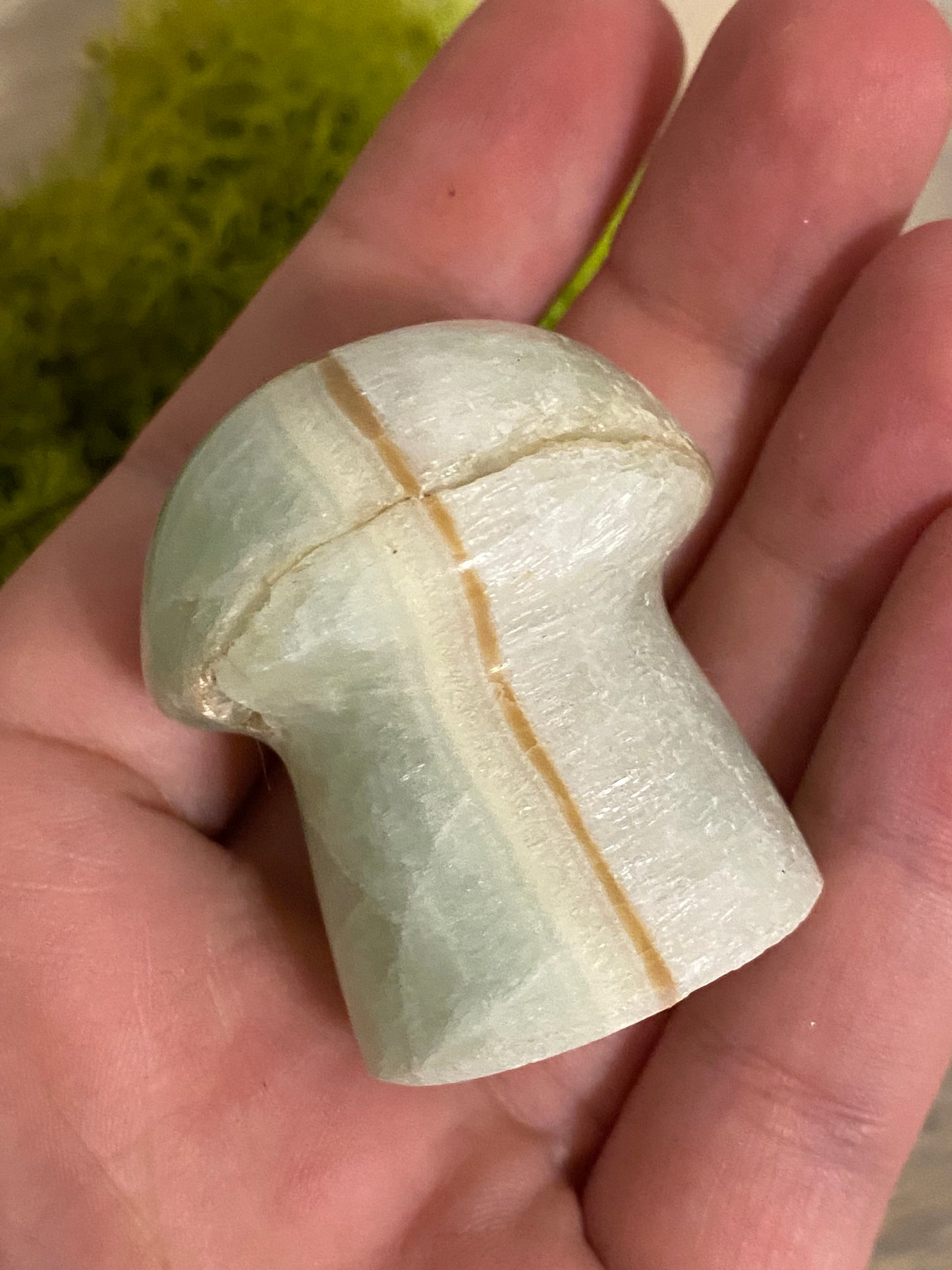Pistachio Calcite Mushrooms