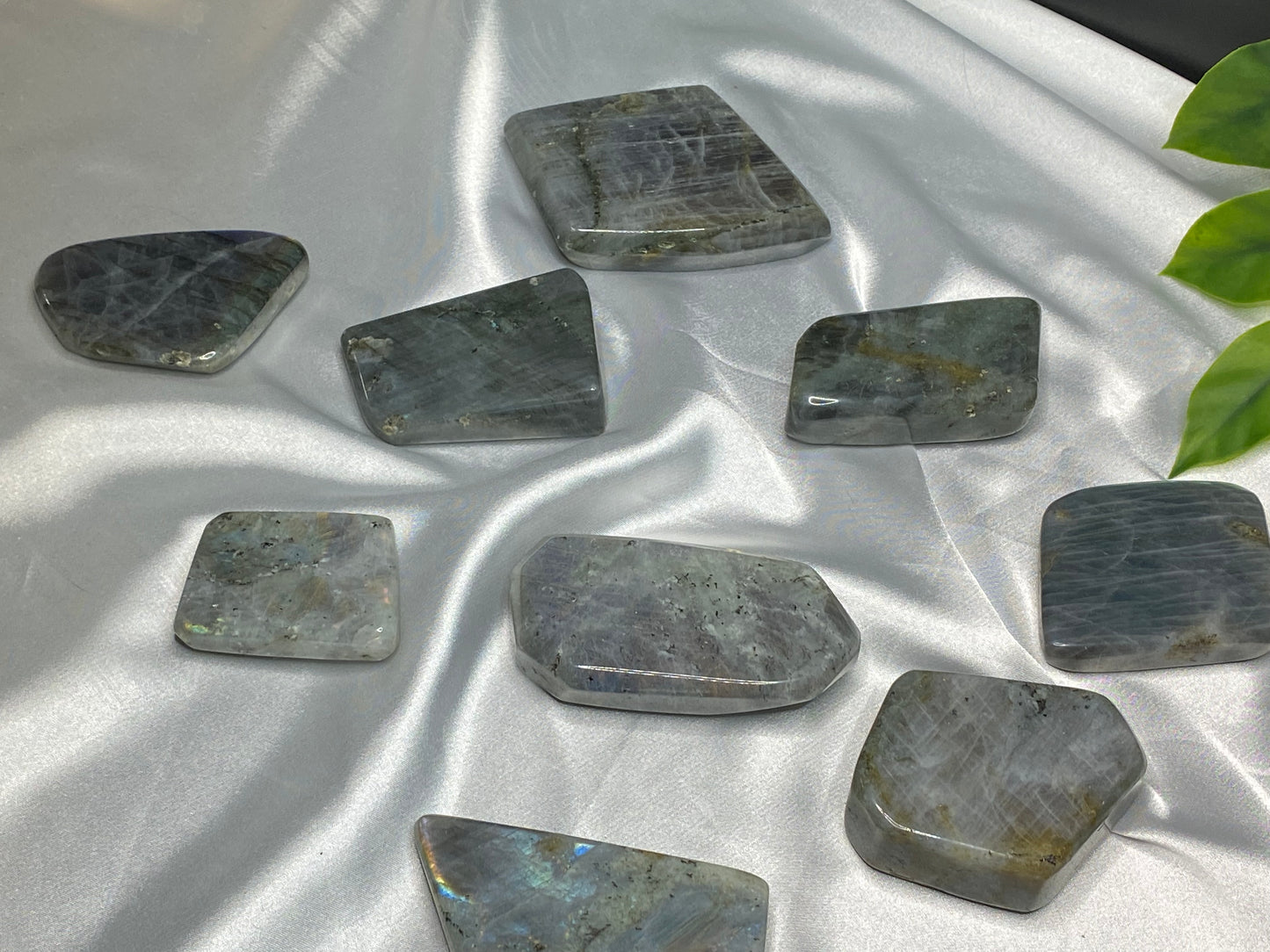 Small Labradorite Freeforms
