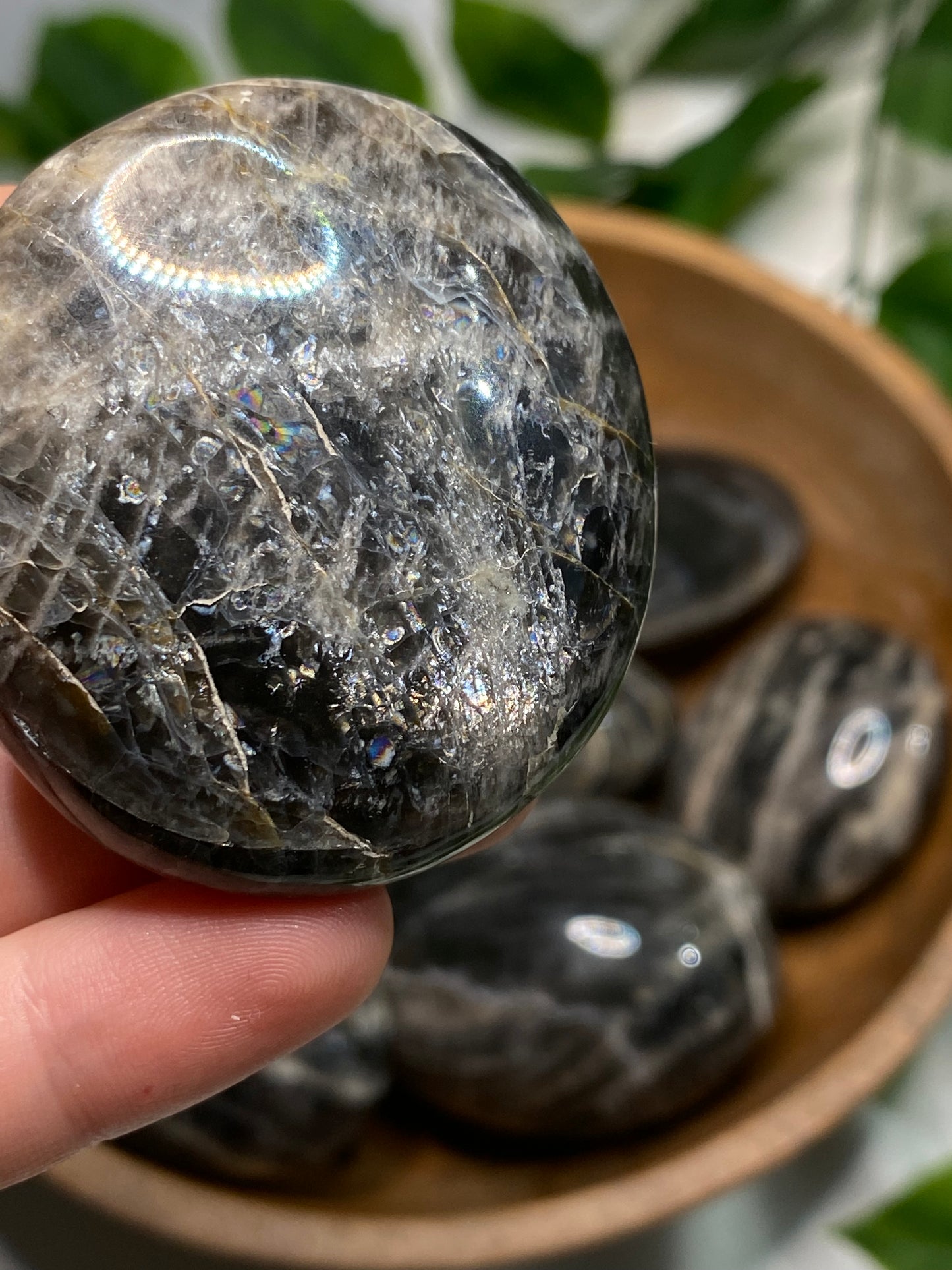 Black Moonstone Palmstones