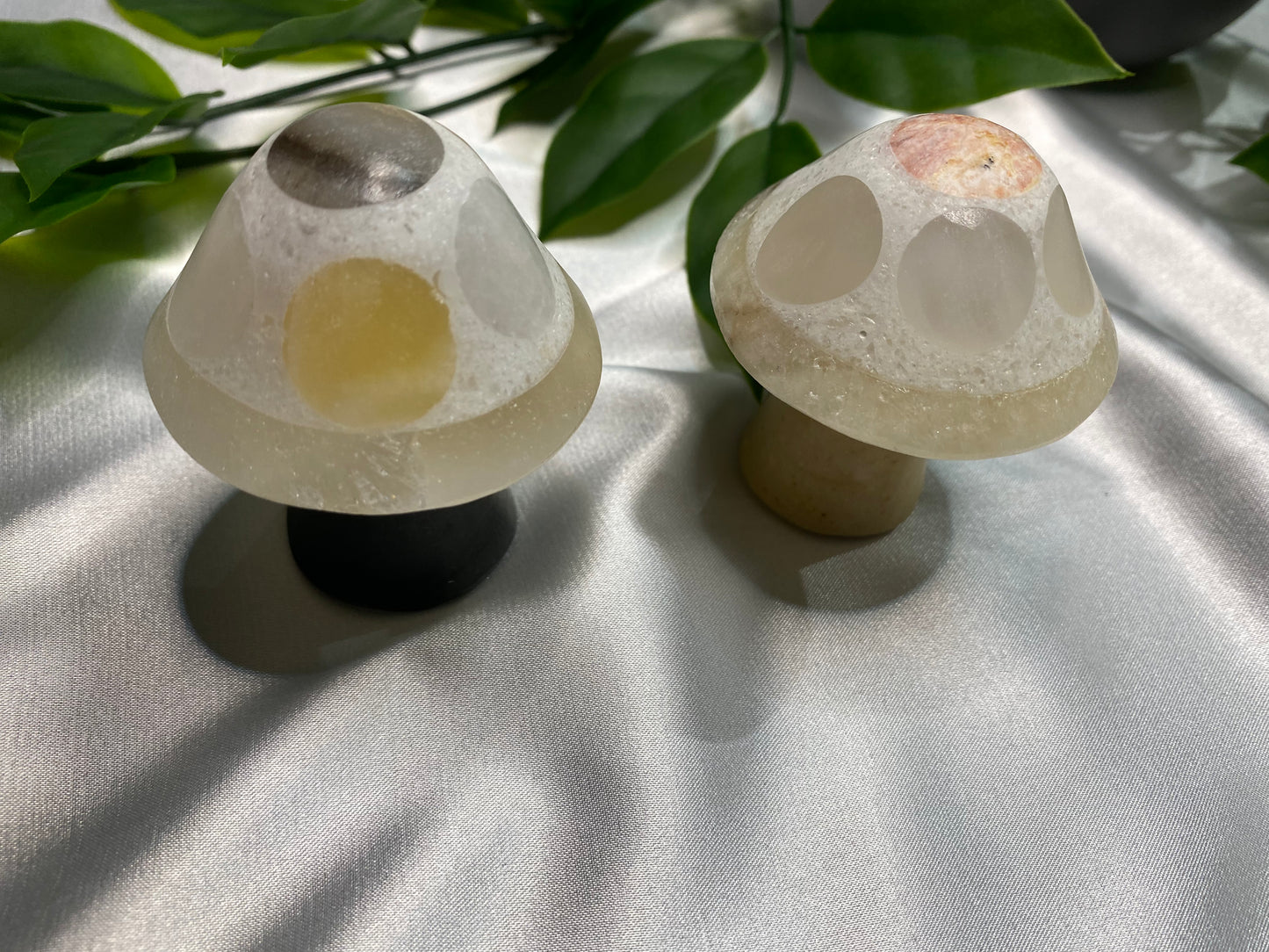 Marble Mixed Mushrooms