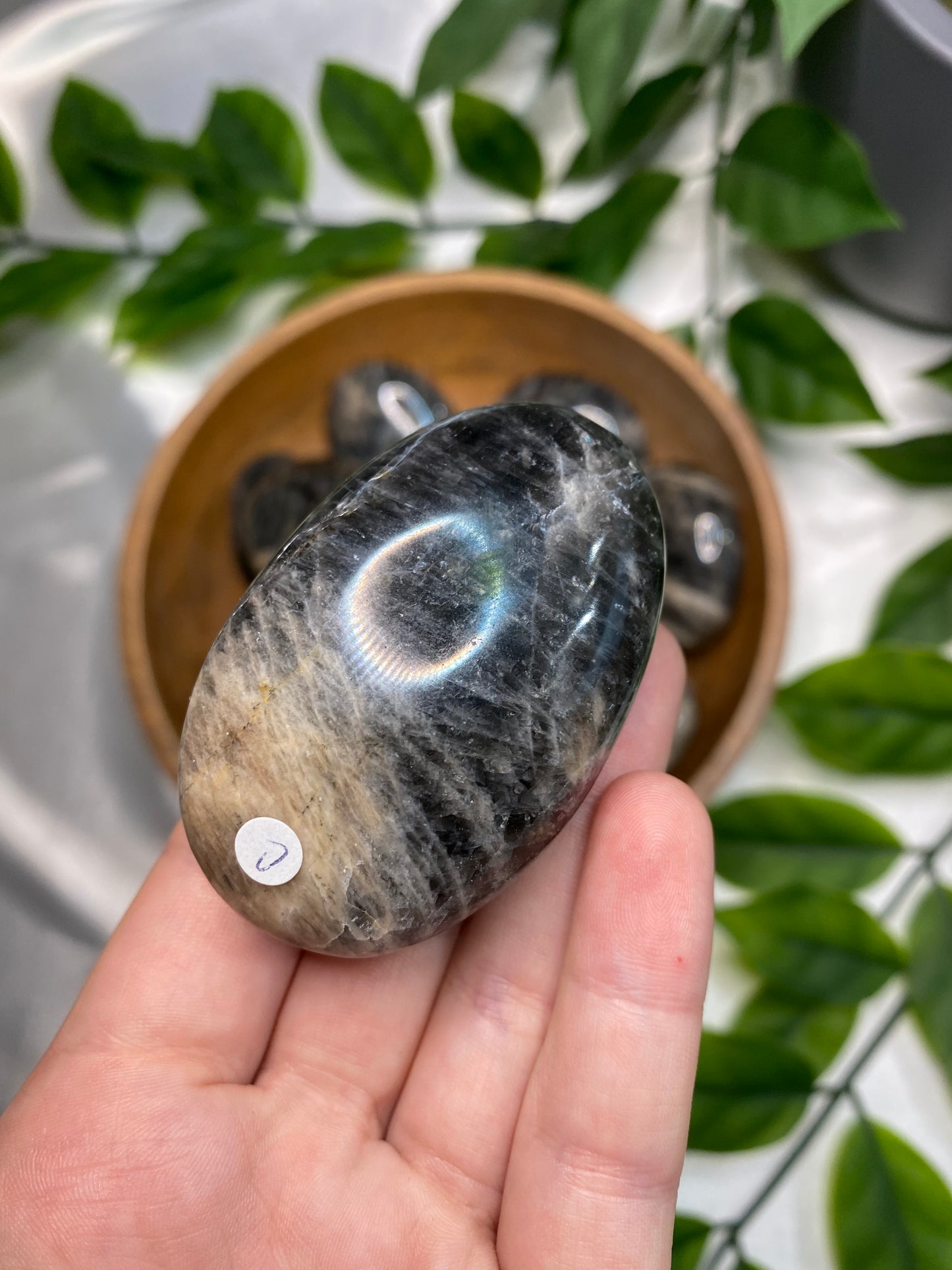 Black Moonstone Palmstones