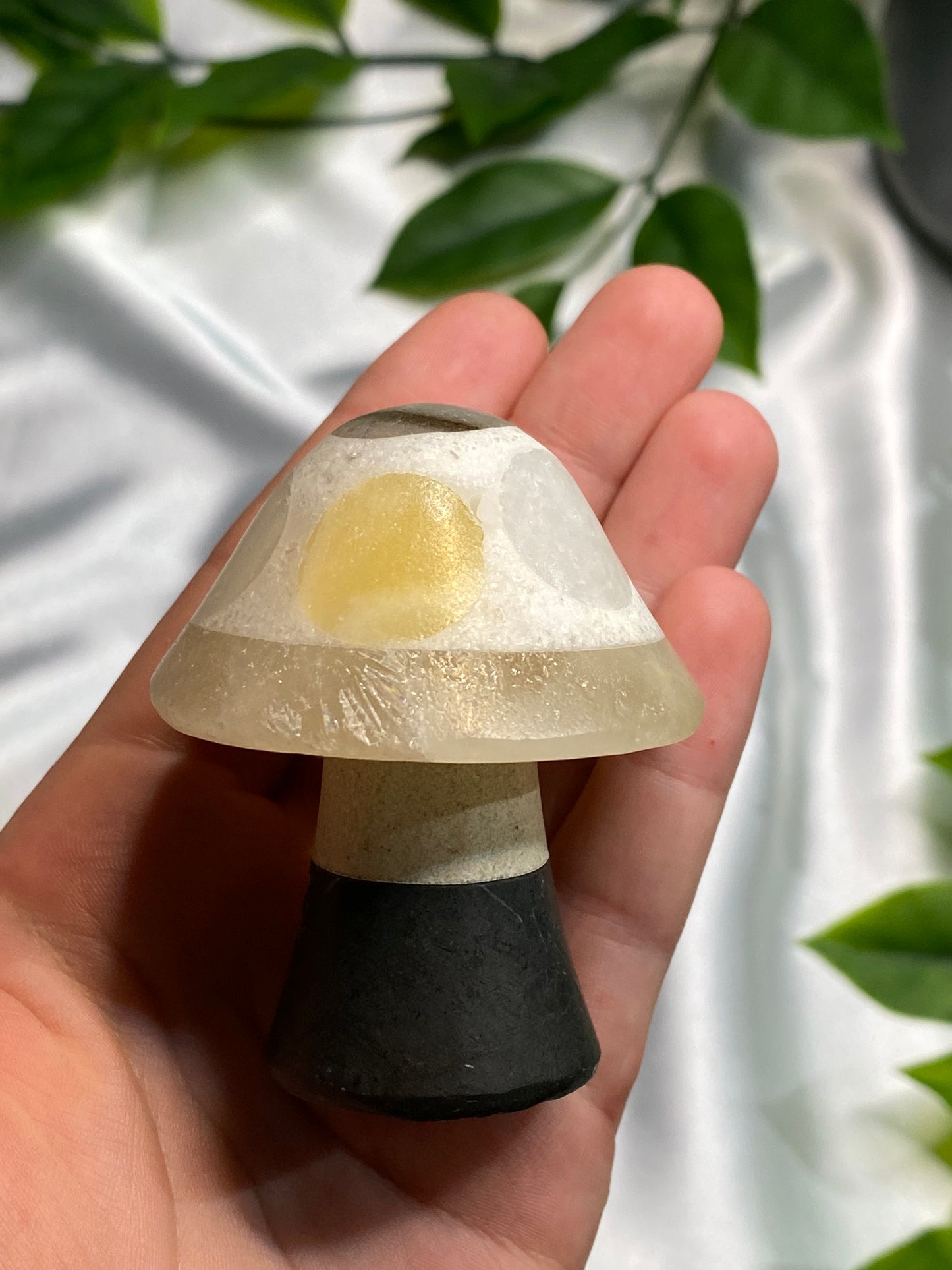 Marble Mixed Mushrooms