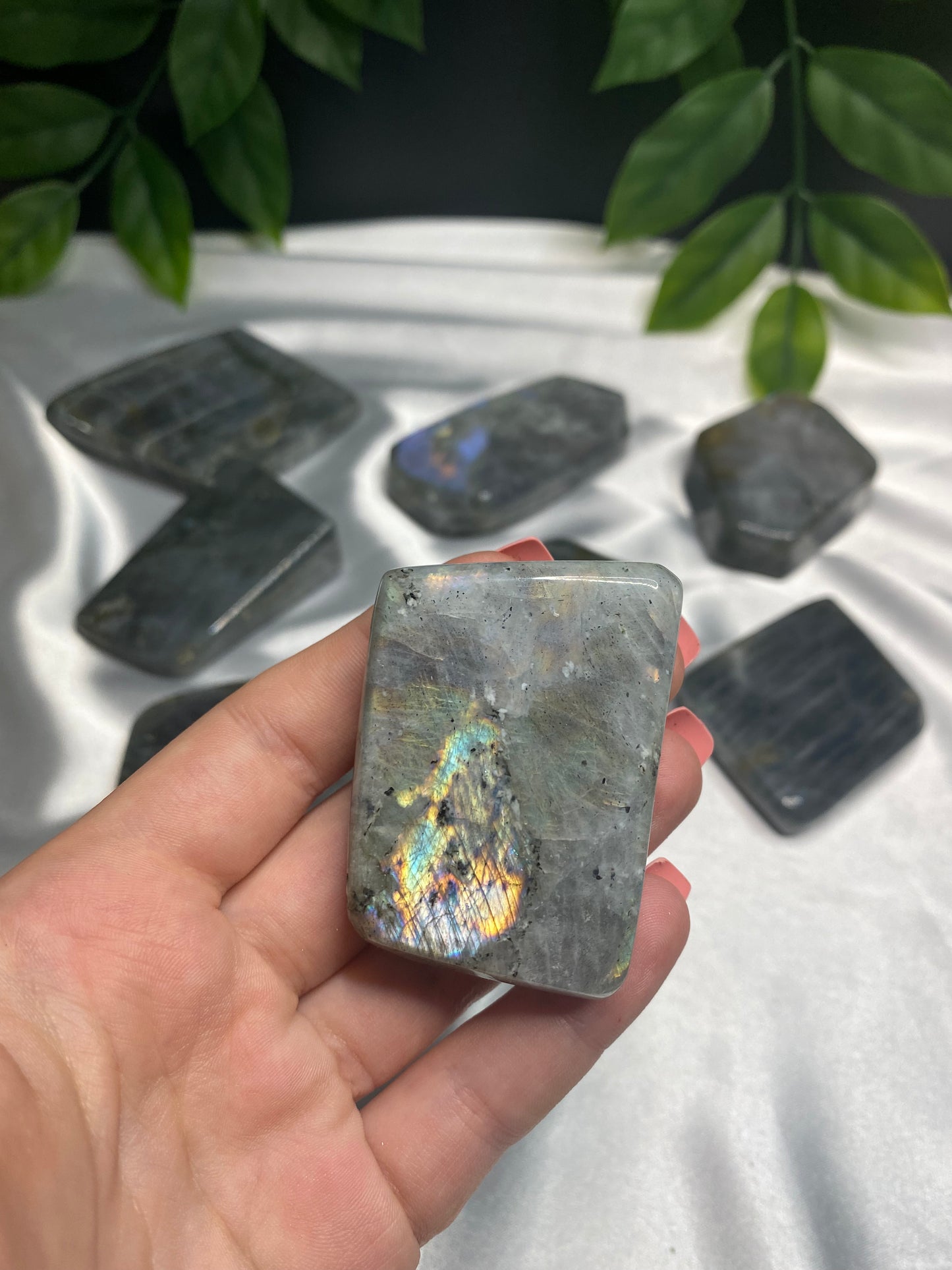 Small Labradorite Freeforms