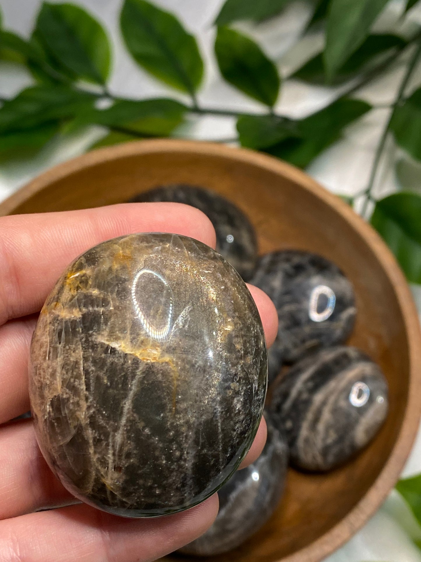 Black Moonstone Palmstones